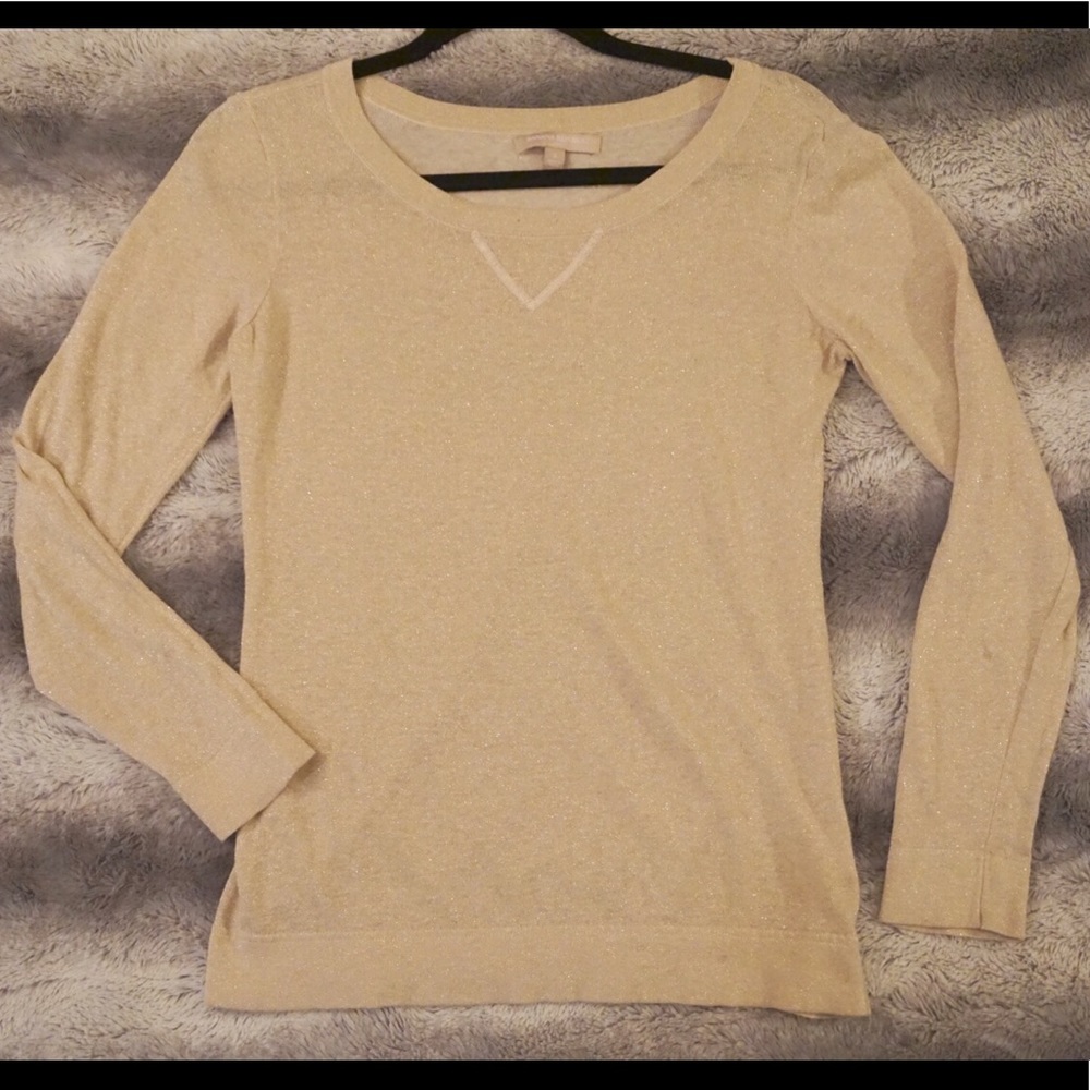 Banana Republic Sparkly Long Sleeve Shirt Used